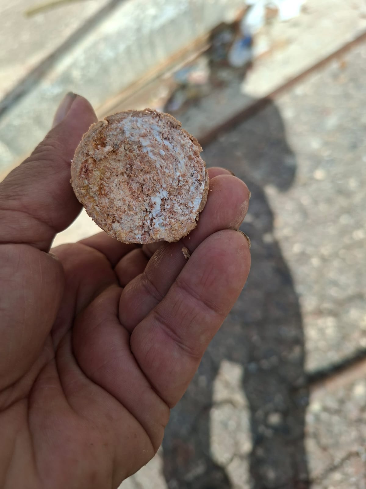 Testemunho de solo coletado